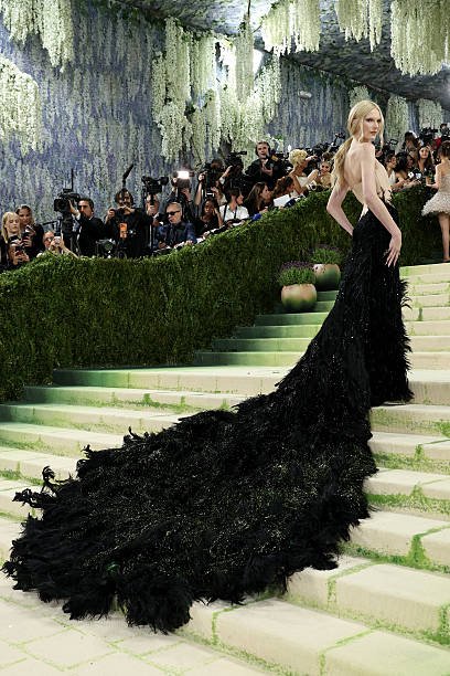 Alex Consani, Gucci, Met Gala, Met Gala 2026