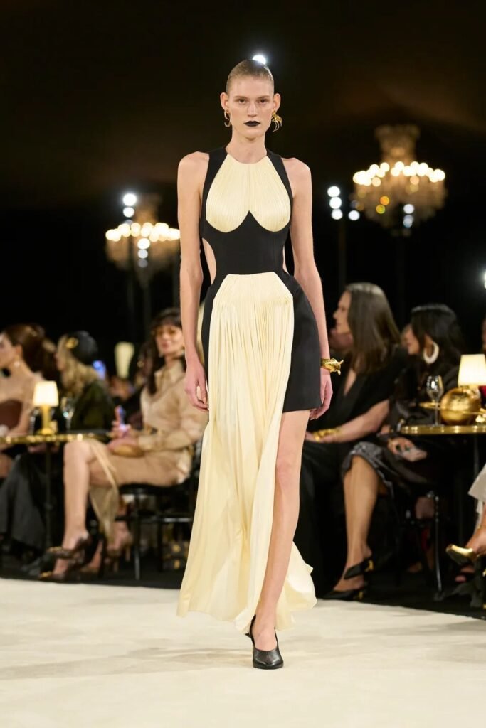 Schiaparelli 14 Schiaparelli img 5222 11