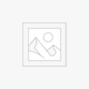 Minimalist Tote